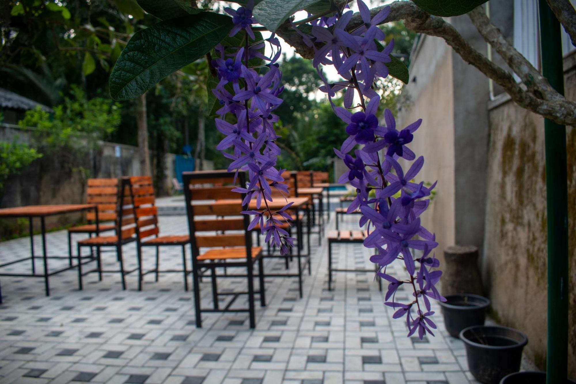 Villa Tranquil Kandy Peradeniya Kültér fotó