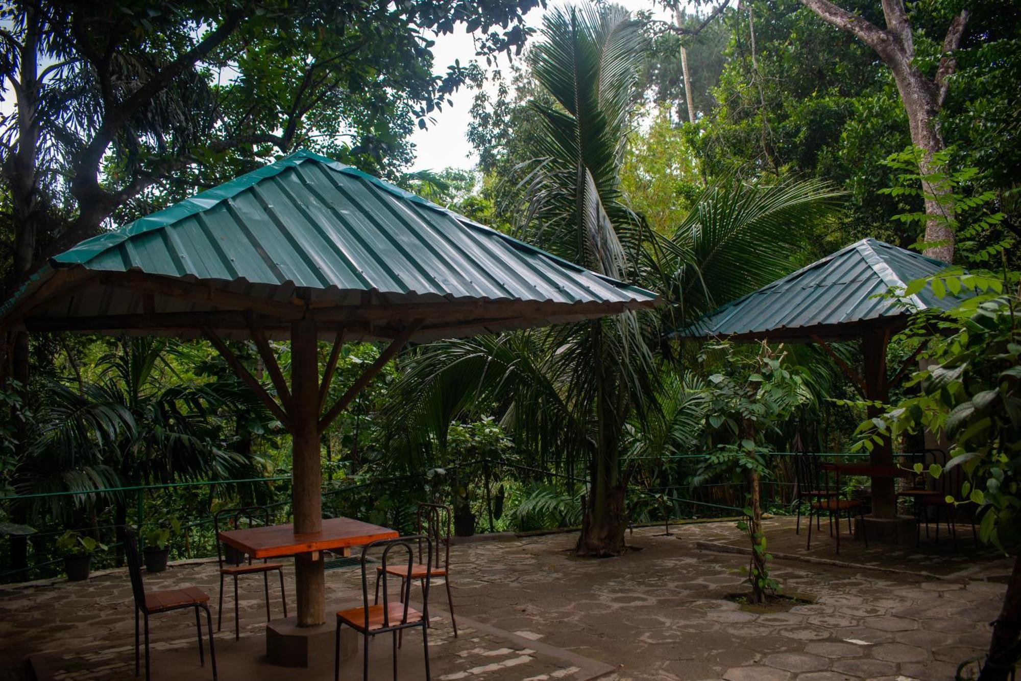 Villa Tranquil Kandy Peradeniya Kültér fotó